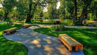 Serene park path with wooden benches and lush greenery.