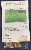 Fern-leaf Lomatium SEED PACKET