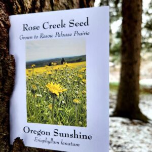 Oregon Sunshine SEED PACKET
