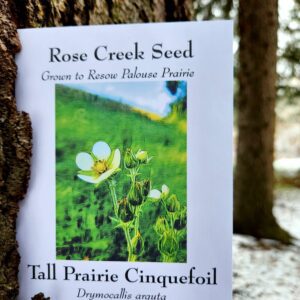 Tall Cinquefoil SEED PACKET