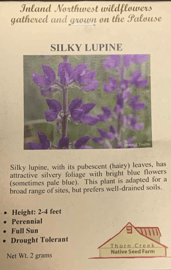 A poster on the Lupinus sericeus Blue silky flowers