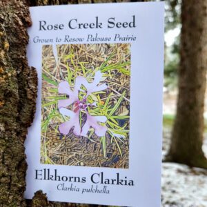 Elkhorn Clarkia SEED PACKET