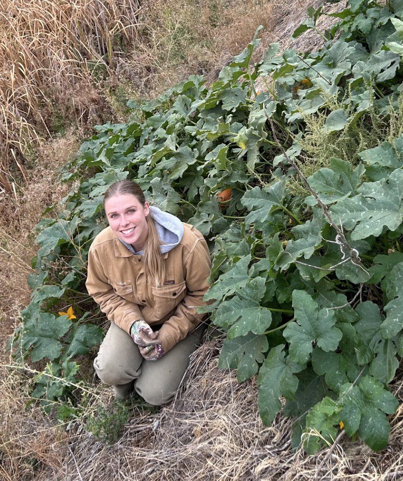 Person kneeling among large green plants.